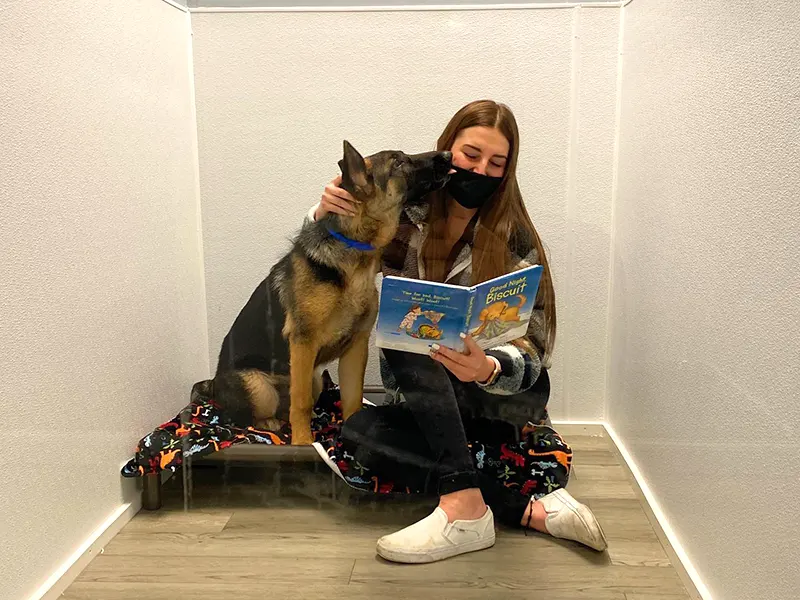 Woman wearing a mask reads a children's book to a German Shepherd in a small, white-walled room. The dog sits on a blanket beside her.