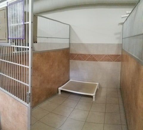 Empty indoor pet kennel with tile walls, a raised bed, and metal bars on one side.