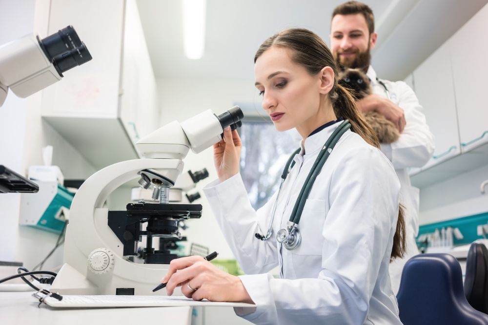 A woman in a white lab coat examines a sample under a microscope while a man holding a small animal stands in the background in a laboratory.