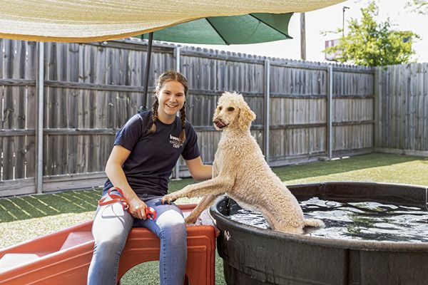 Smiling daycare staff member with a cream Goldendoodle splashing in a water tub in a shaded outdoor play yard