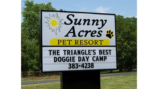 Sign for Sunny Acres Pet Resort, advertising it as "The Triangle's Best Doggie Day Camp" with a sun and paw print design. Phone number: 383-4238.
