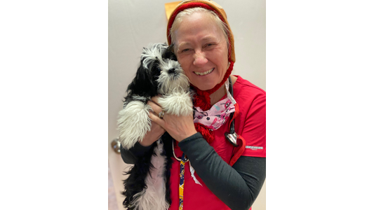 Dr. Jellison Purple Paws Clinic Veterinarian 