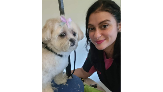 Dog Spot Hotel Groomer Amanda