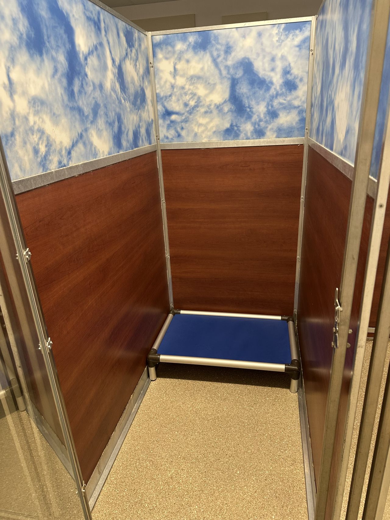 Pet Boarding suite with wood-paneled walls and a blue sky mural at the top. A blue, raised cot sits on a speckled floor.