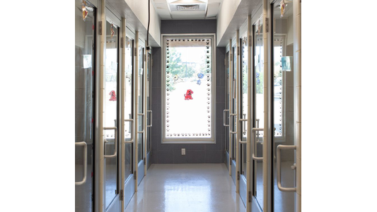 Huebner Oaks Veterinary Hospital  corridor with glass doors on both sides leads to a bright window with a red dog decoration.