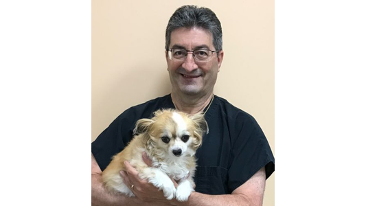 North Shore Animal Hospital  Dr. Ronald Rosen -Medical Director and Partner