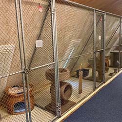 Cat boarding area with multiple metal enclosures, each containing a scratching post and cat shelter. Carpeted floor runs alongside the enclosures.