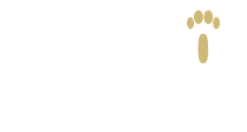 Brown Dog Lodge Veterinary Clinic 