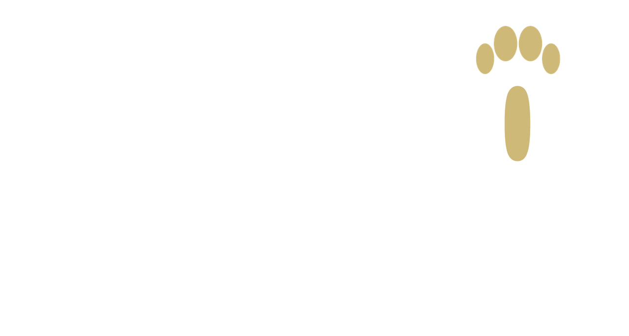 Brown Dog Lodge Veterinary Clinic Logo