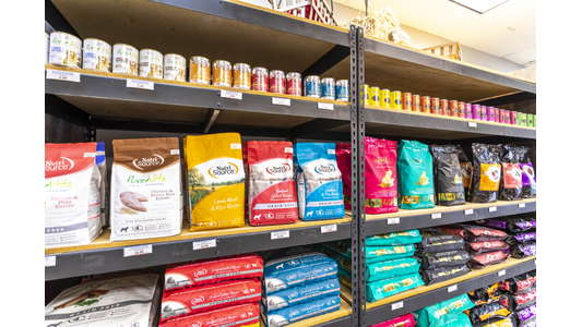 Shelves stocked with assorted dog food bags and cans, featuring various brands and colorful packaging in a pet supply store.