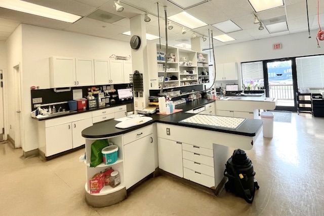Nebel Street Animal Hospital laboratory with white cabinets, black countertops, and various equipment and supplies, illuminated by overhead lighting.