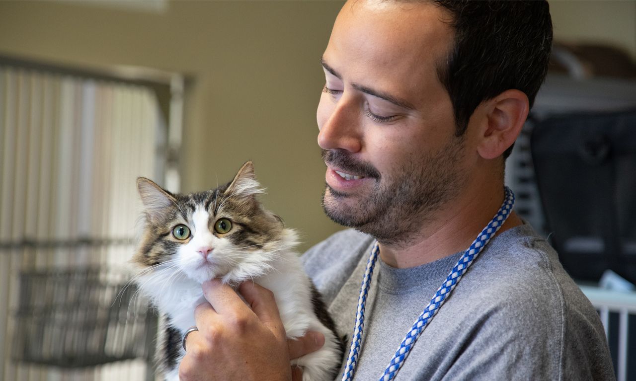 A male veterinary staff member smiling gently while holding an alert, fluffy brown and white cat in his arms