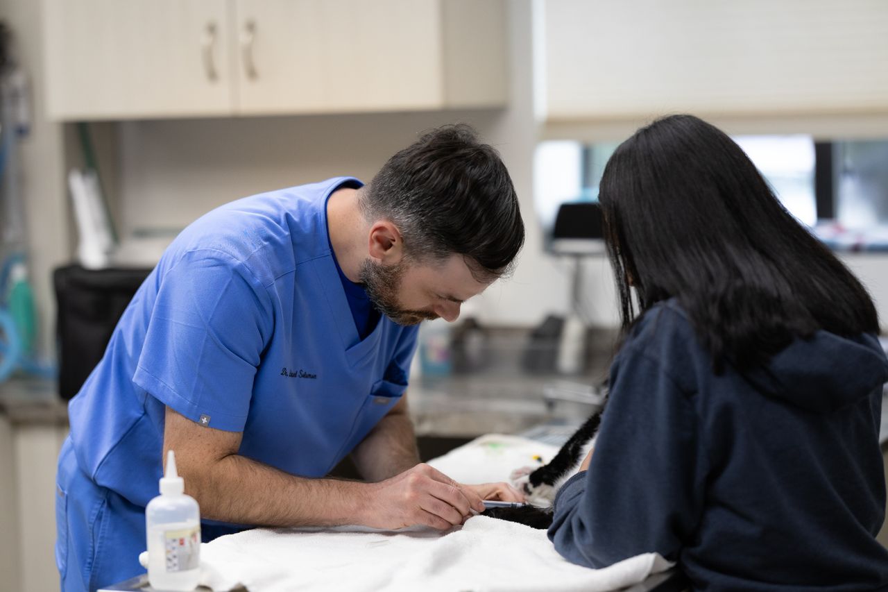 A veterinarian in blue scrubs examines a small animal on a table while a person assists in a clinic.