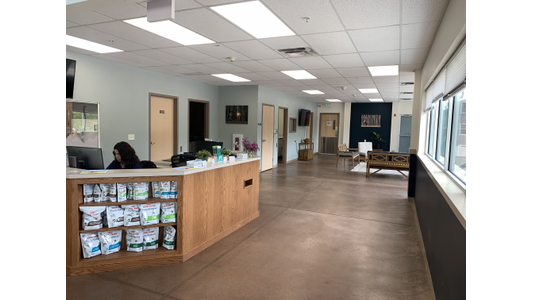 Church Ranch Veterinary reception area with a wooden counter displaying pet products, a seating area, and large windows letting in natural light.