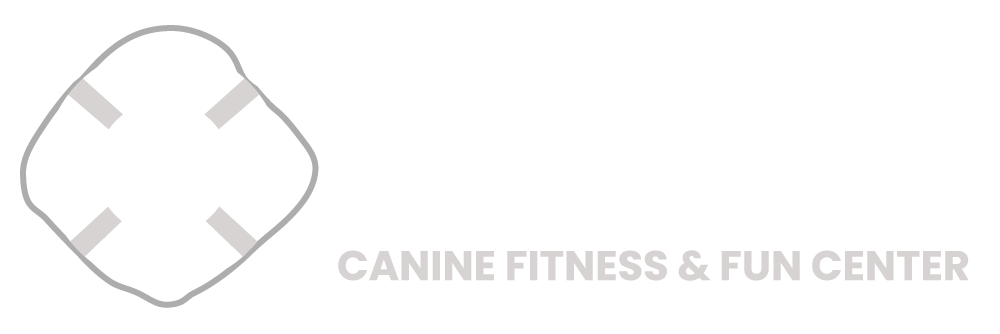 Canine Fitness & Fun Center Logo
