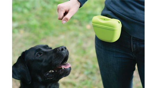 A black dog looks up attentively at a person's hand gesture, with a green treat pouch clipped to the person's waist.