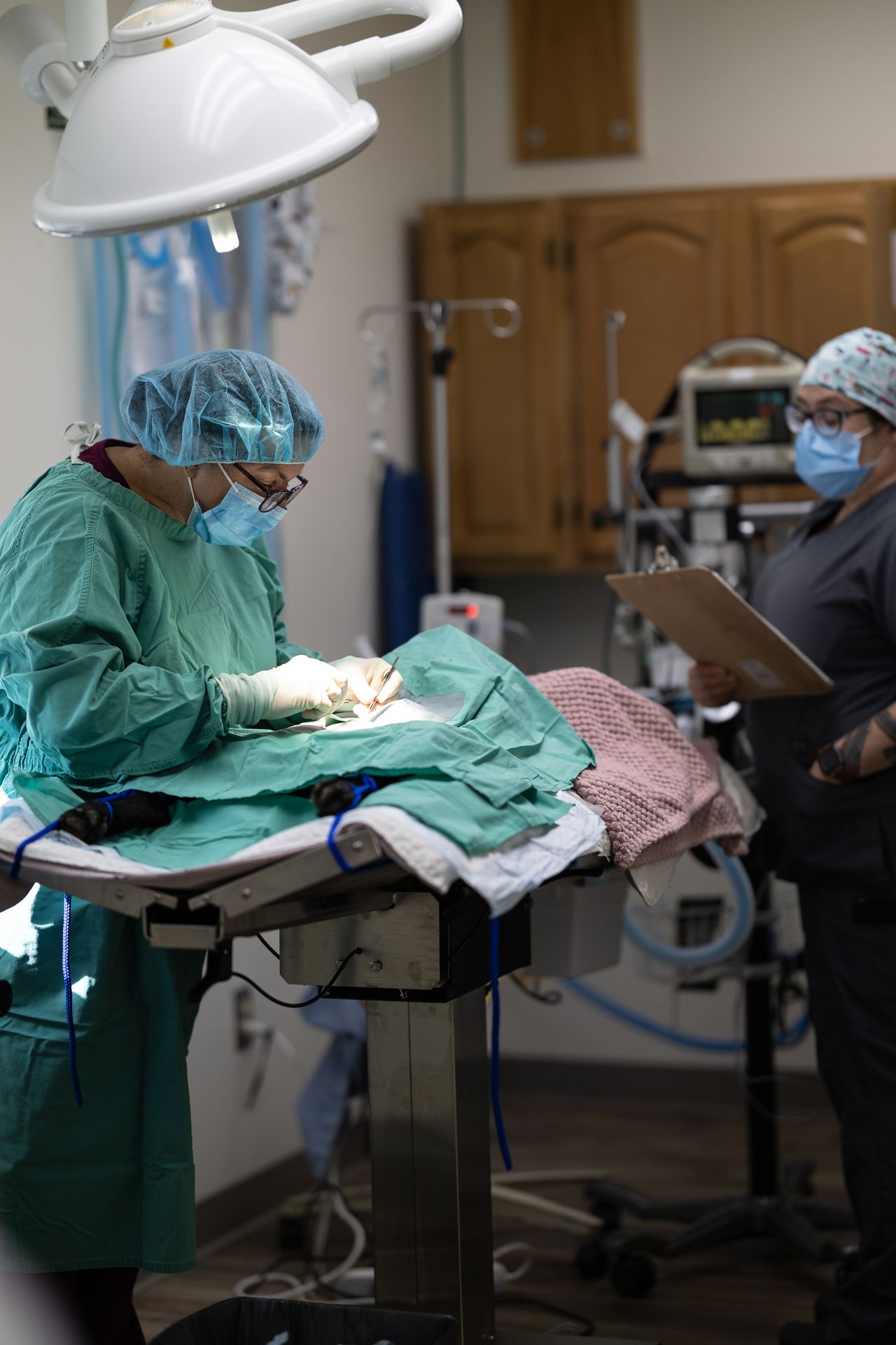 Veterinarian performing surgery on an animal, assisted by a nurse taking notes, in a well-equipped operating room.