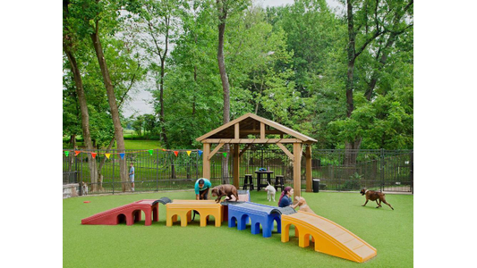 Dogs playing on colorful playground equipment with people nearby, surrounded by trees and a wooden gazebo in a fenced area at Rivermist Pet Lodge