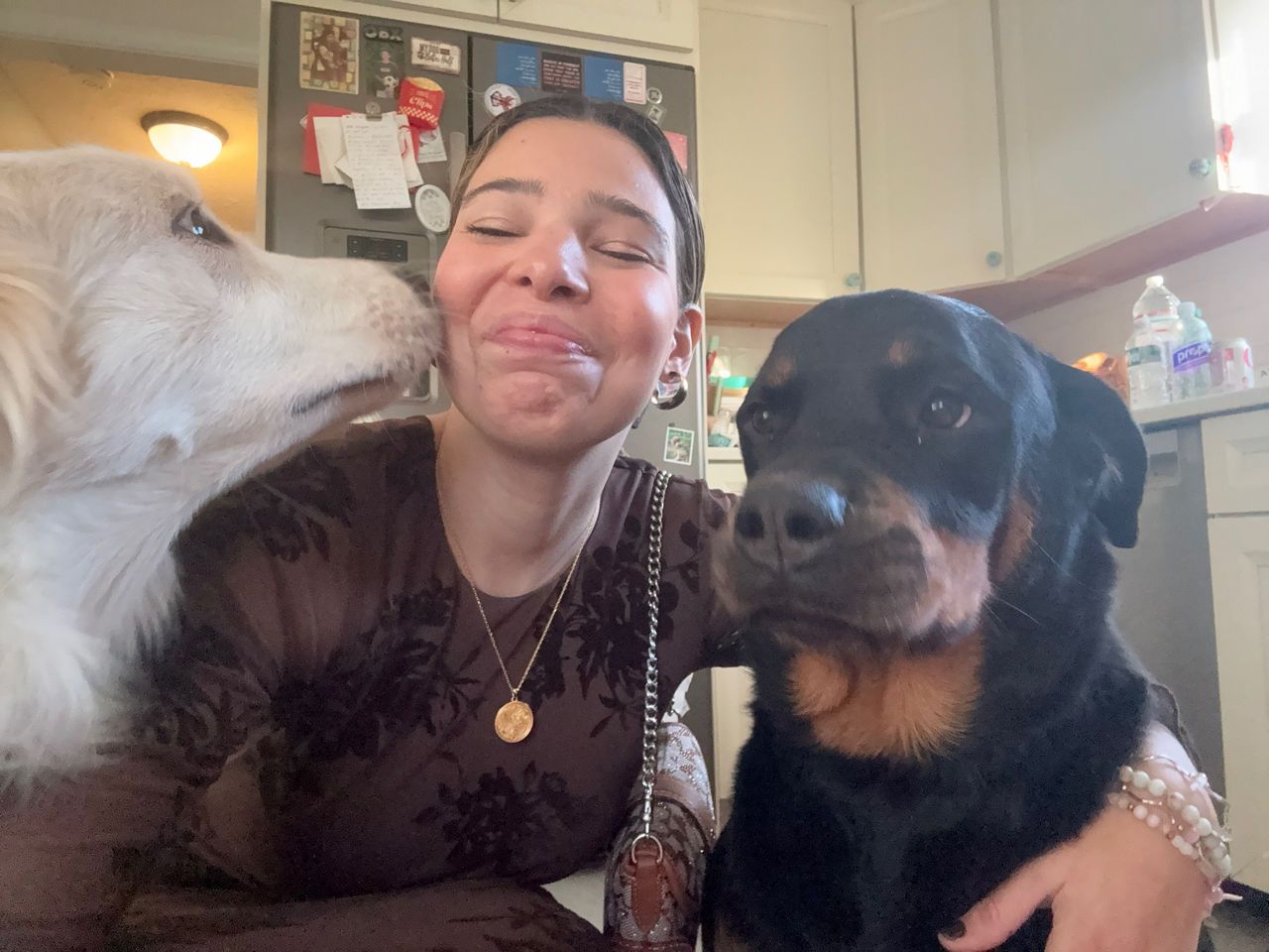 Brooklyn -Customer Service Representative kneeling between a white dog licking her cheek and a black Rottweiler in a kitchen.