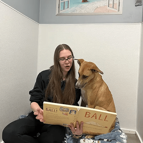 A woman reads a book titled "Ball" to a brown dog sitting beside her, both focused on the pages in a cozy room.
