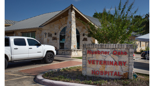 Stone building with a sign reading "Huebner Oaks Veterinary Hospital." A white truck is parked in front under a clear blue sky.