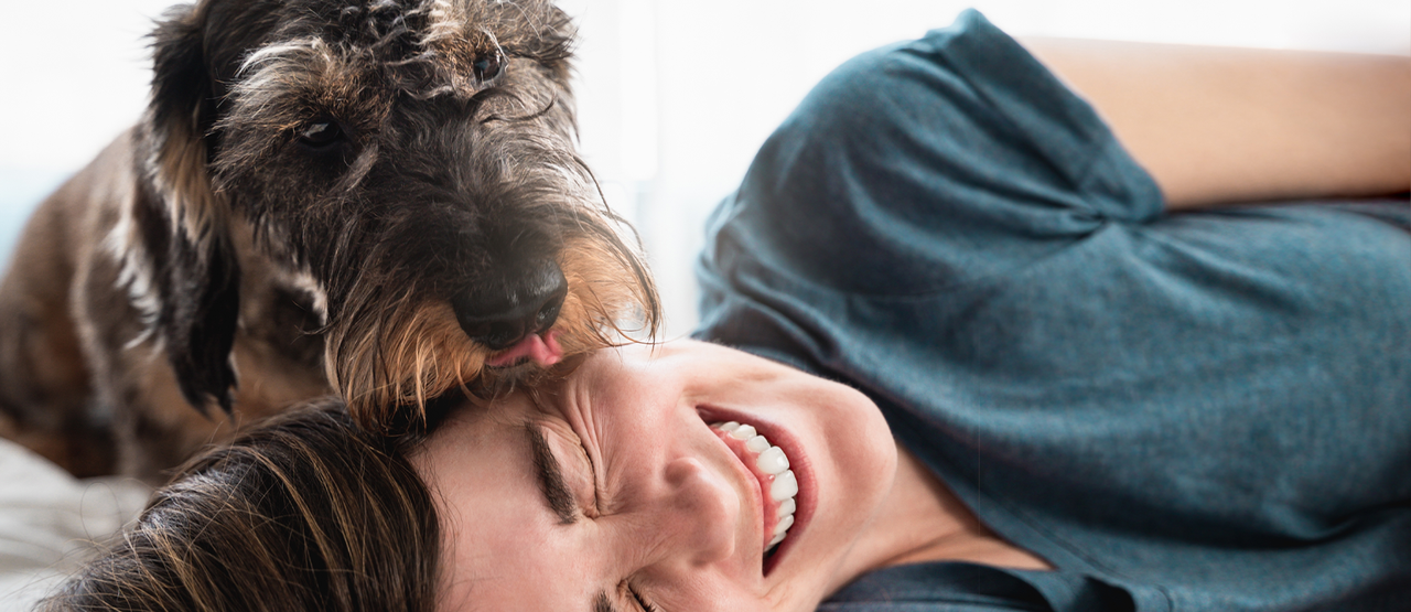 Senior Pet Care in San Juan Capistrano: Supporting Your Aging Dog or Cat