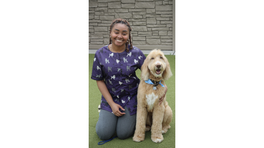 Ruff Housing Groomer Desiree next to a fluffy light brown dog wearing a blue scarf. They are posing in front of a stone-textured wall.