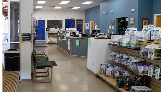 town and country veterinary hospital reception