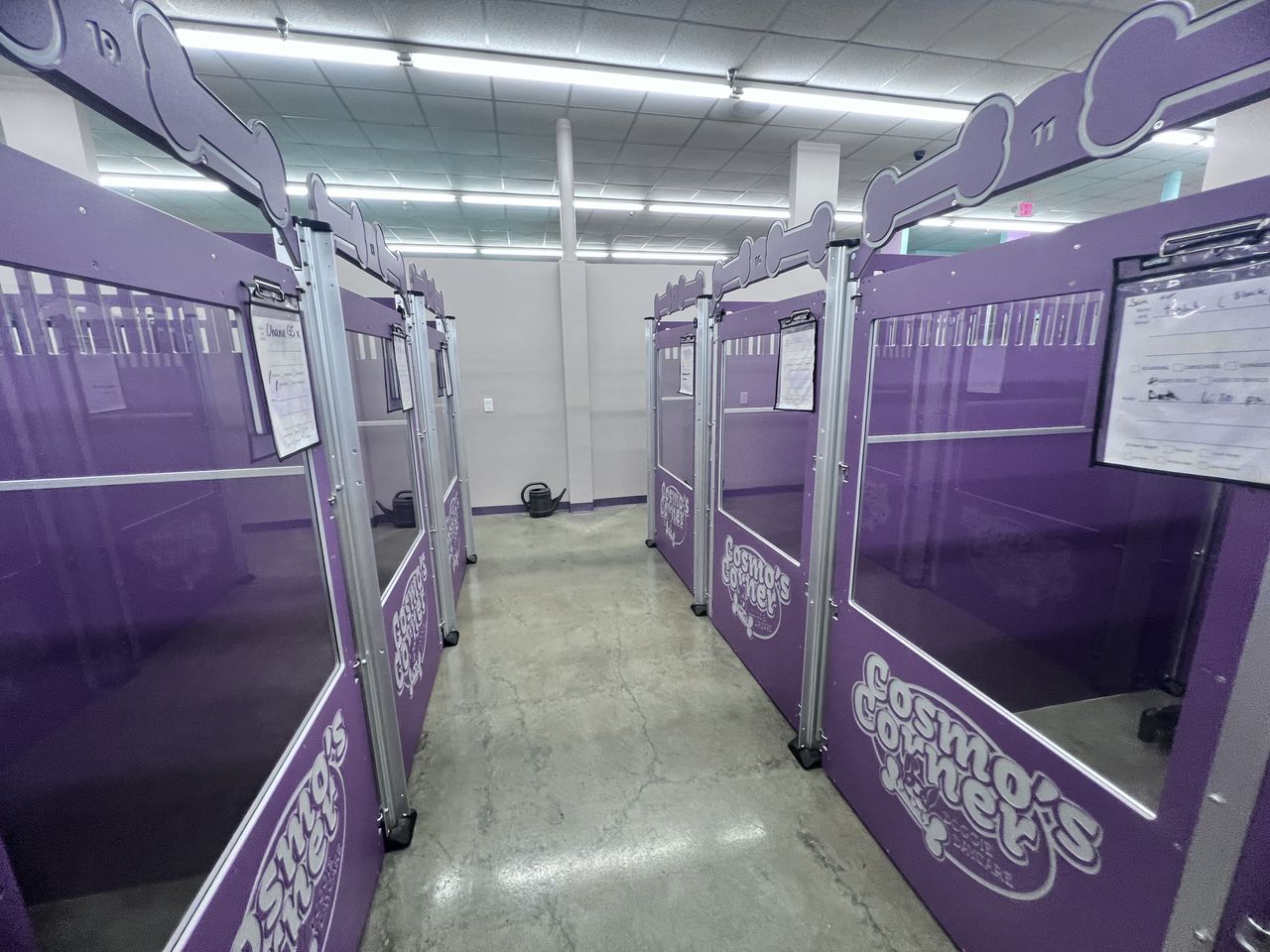 An indoor dog boarding and daycare facility hallway lined with purple kennel suites branded "Cosmo's Corner Doggie Daycare," topped with bone-shaped nameplates and clipboards for pet care info