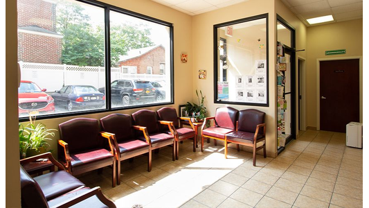 North Shore Animal Hospital waiting room with red chairs, large windows, and sunlight streaming in. Interior has plants and a bulletin board, with a door on the right.