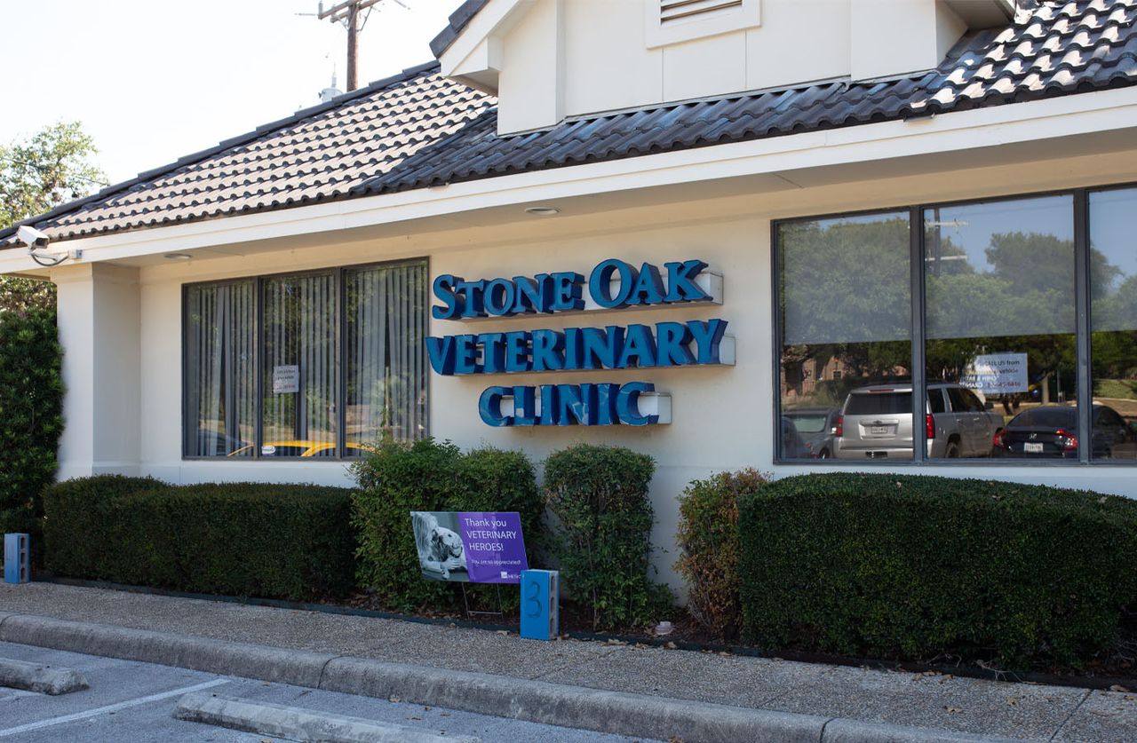 The exterior of Stone Oak Veterinary Clinic, featuring large windows and the clinic's name in blue lettering