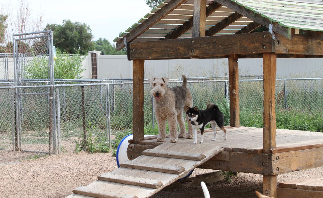 Play yard
