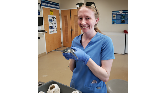 Purple Paws Veterinarian Dr. Smith 