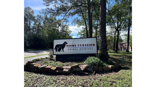Sign for Kings Crossing Animal Hospital surrounded by trees and plants, located along a rural road, featuring an image of a dog and cat.