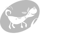 Happy Camper