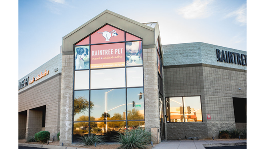 The front door of Raintree Pet Resort and Medical Center welcomes pet families