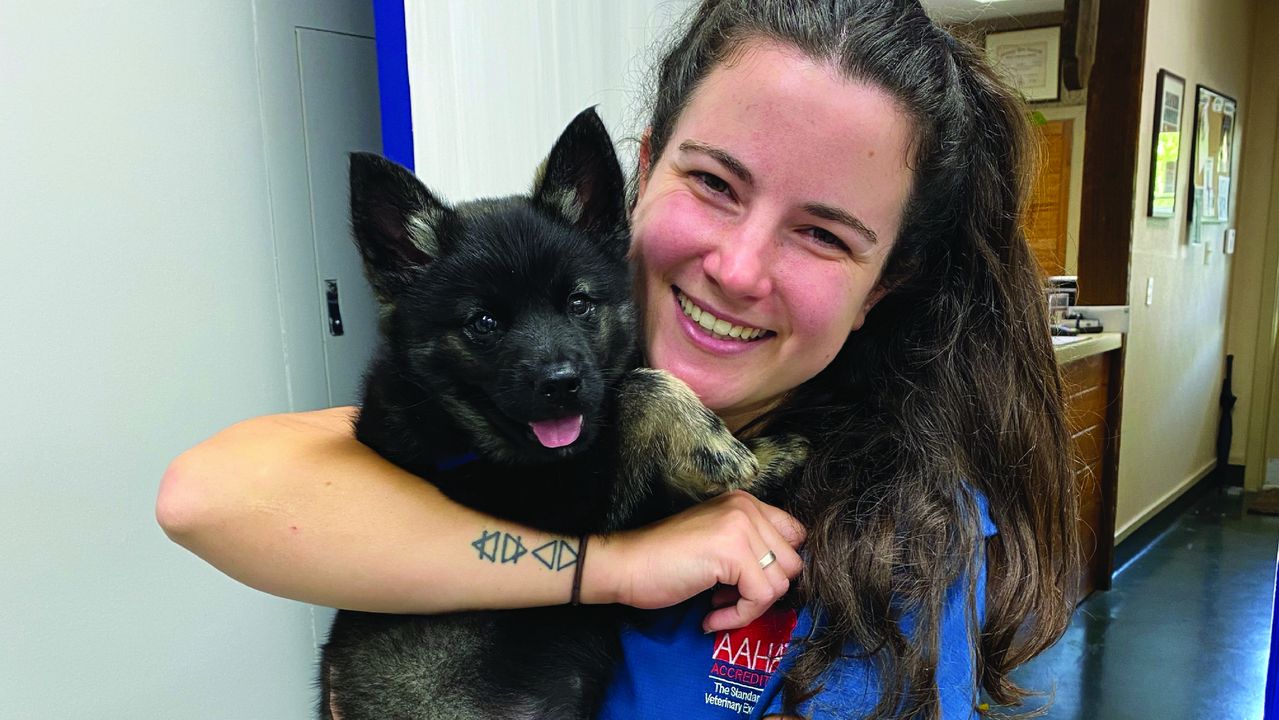 A smiling woman in a blue shirt holds a small black and gray dog inside a room, with certificates on the wall in the background.