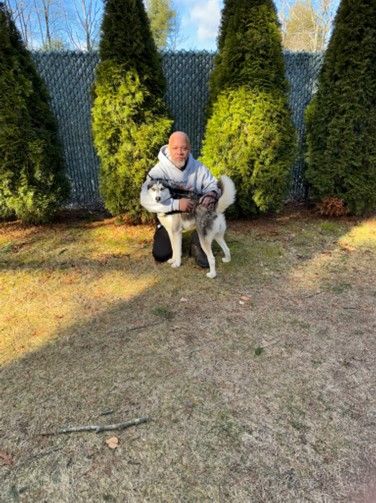 Creature Comforts Animal Inn Lloyd -Animal Care Attendant  kneels on grass, hugging a husky dog. Behind them are tall, well-trimmed evergreen bushes and a chain-link fence.