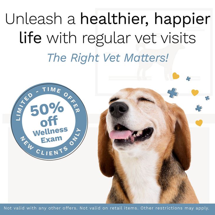 50% off Wellness Exam - New Clients Only