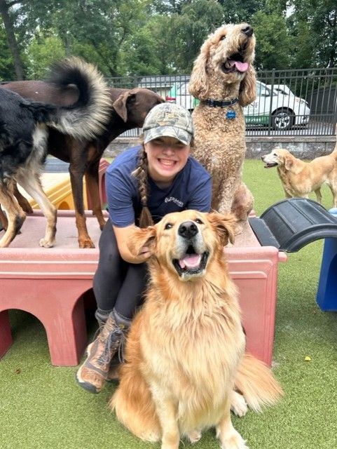 A Rivermist employee in a cap sits surrounded by joyful dogs on a playground, smiling widely with a golden retriever in the foreground.