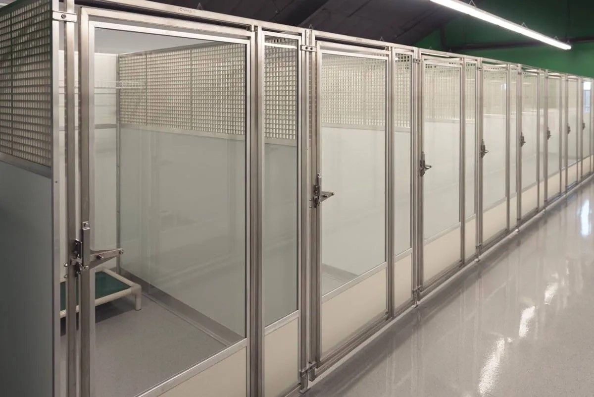 A row of clean, empty animal kennels with metal frames and transparent doors in a sterile, well-lit environment.