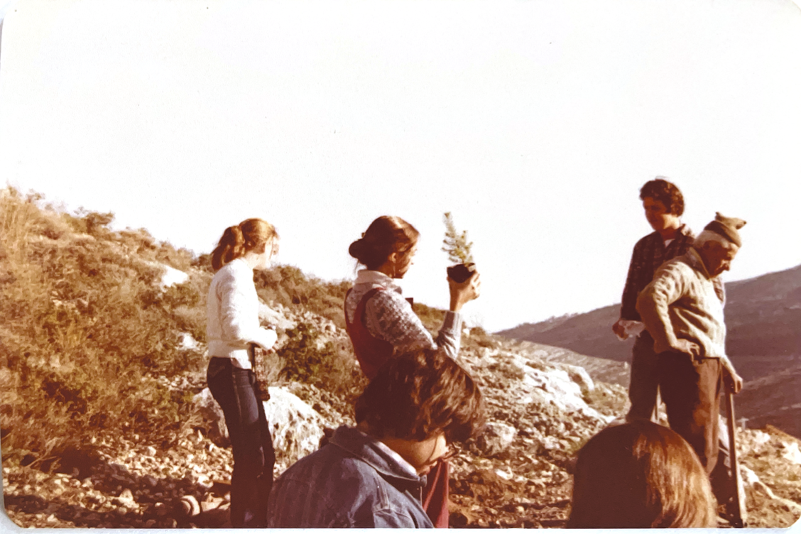 Binyamin-Weintraub, Dorit (Fall Semester 1981)