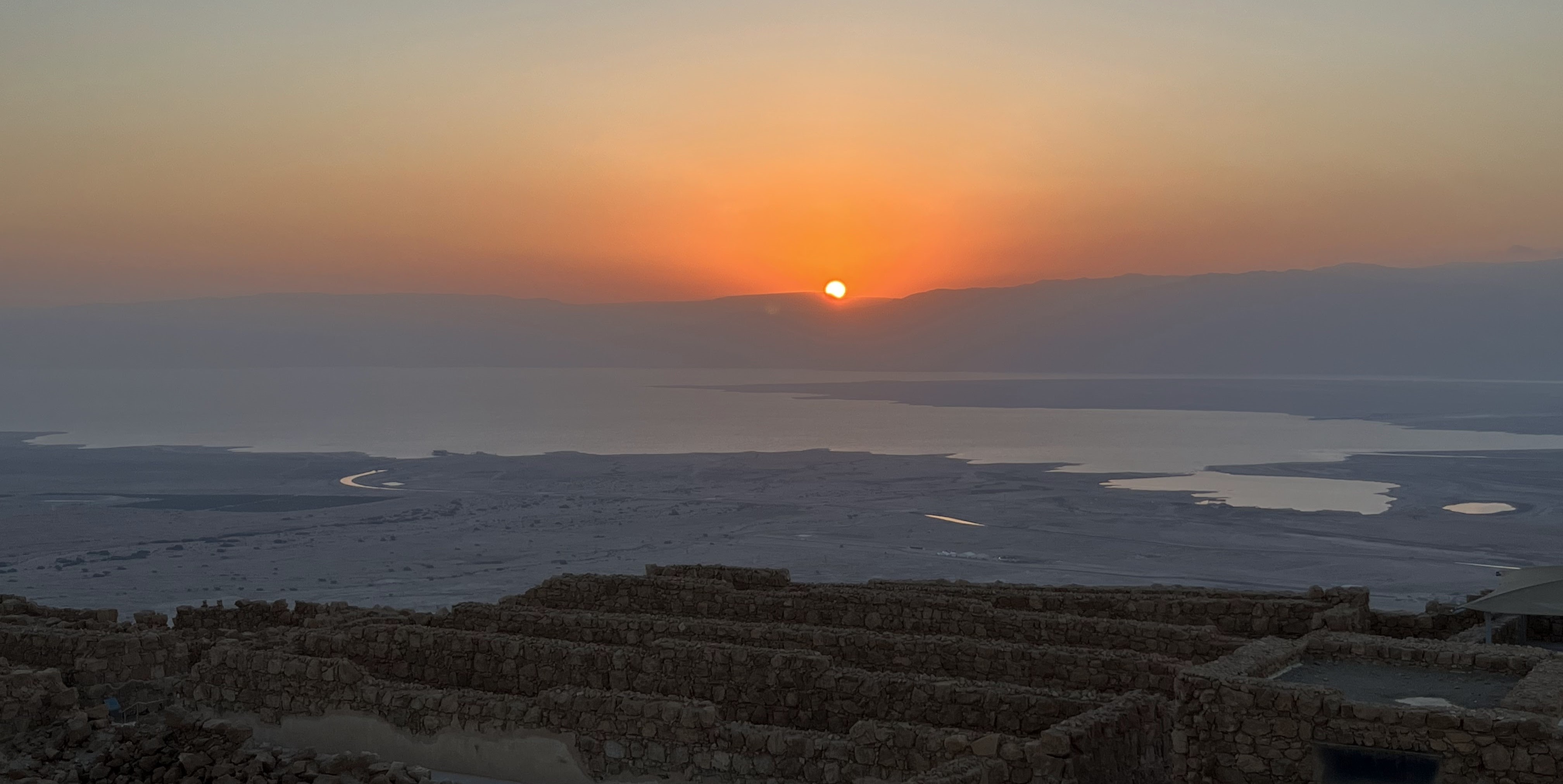Back to Israel