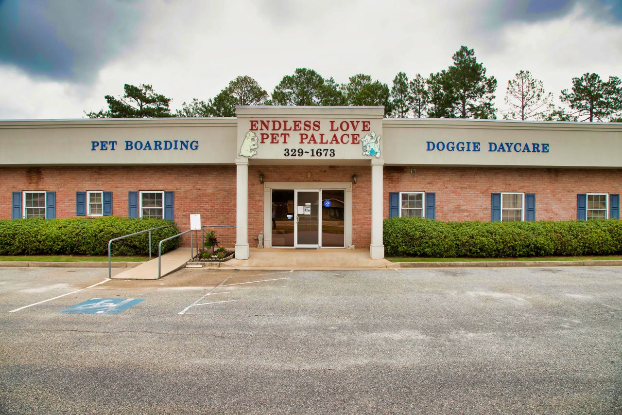 The exterior of a single-story brick building featuring a central sign for "Endless Love Pet Palace," flanked by the words "Pet Boarding" and "Doggie Daycare" painted in blue across the facade. The building has windows with blue shutters, green landscaping along the front, and a paved parking lot with a wheelchair ramp leading to the main glass entrance.