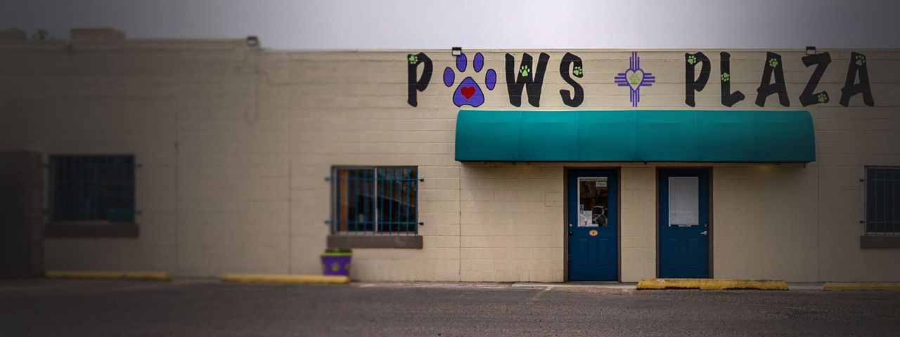 Paw plaza exterior