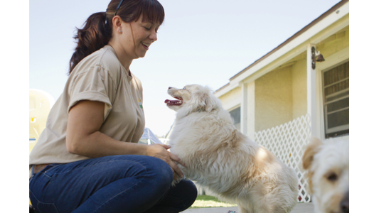 a friendly outdoor moment, showing a smiling woman in a beige t-shirt crouching down to interact with a happy, fluffy white dog that has its paws resting near her