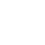Wolf Pack Canine