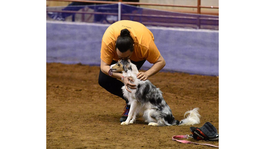 A handler in an orange shirt leaning down affectionately to kiss the head of a blue merle Australian Shepherd sitting on a dirt arena floor