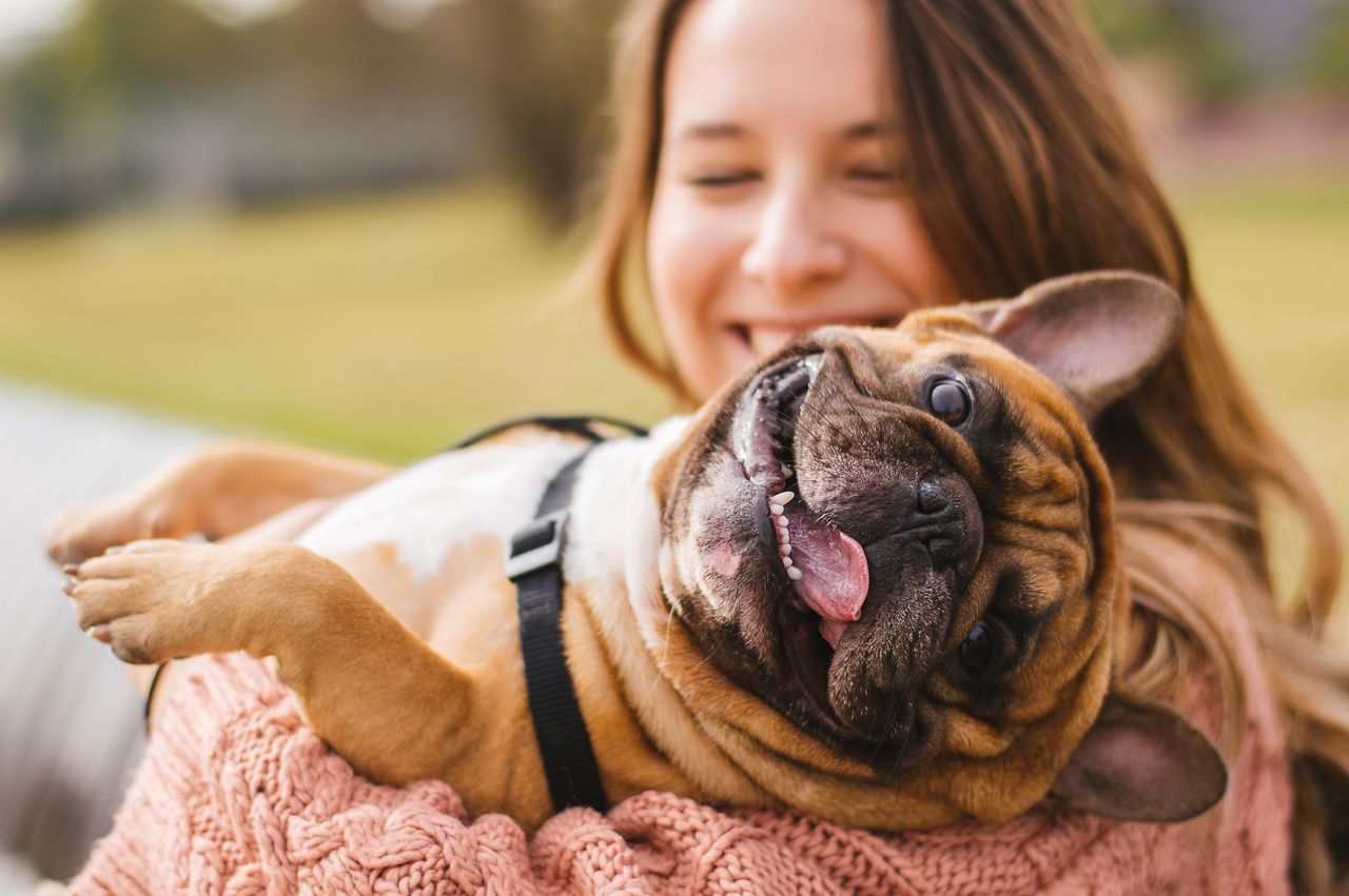 A smiling woman holding a playful brown French Bulldog upside down in her arms, with the dog grinning happily at the camera