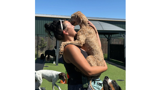A smiling woman happily holding a curly tan dog in her arms at an outdoor dog daycare on a sunny day, surrounded by other dogs playing on green turf